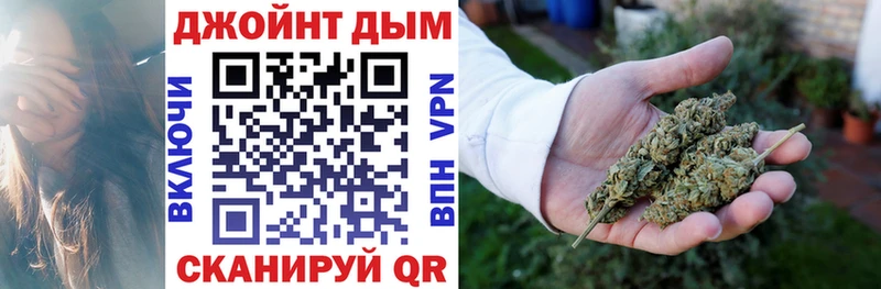 Каннабис VHQ  продажа наркотиков  Ессентукская 